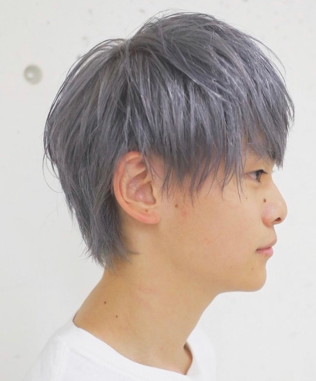 シルバー 髪色 メンズ 美容師がやり方を ４ステップ で解説 Tomohiro Makiyama